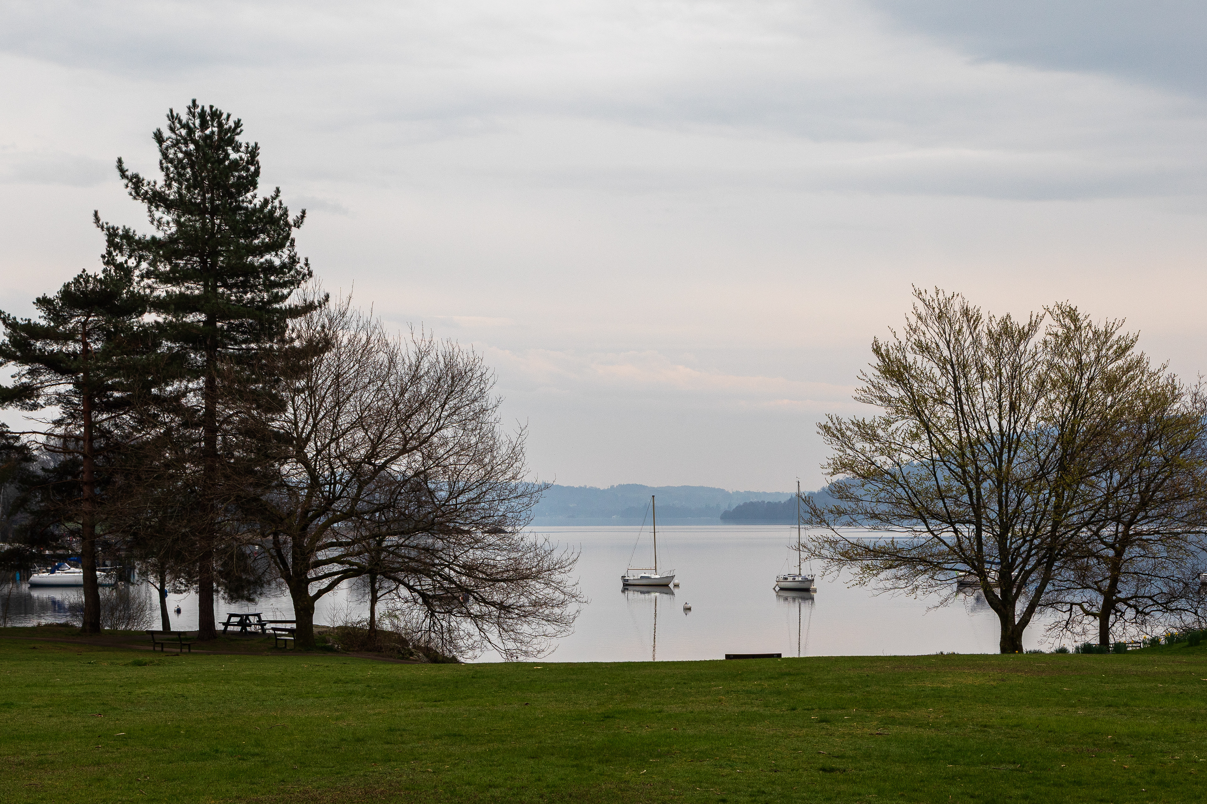 Boats on Windermere framed by trees