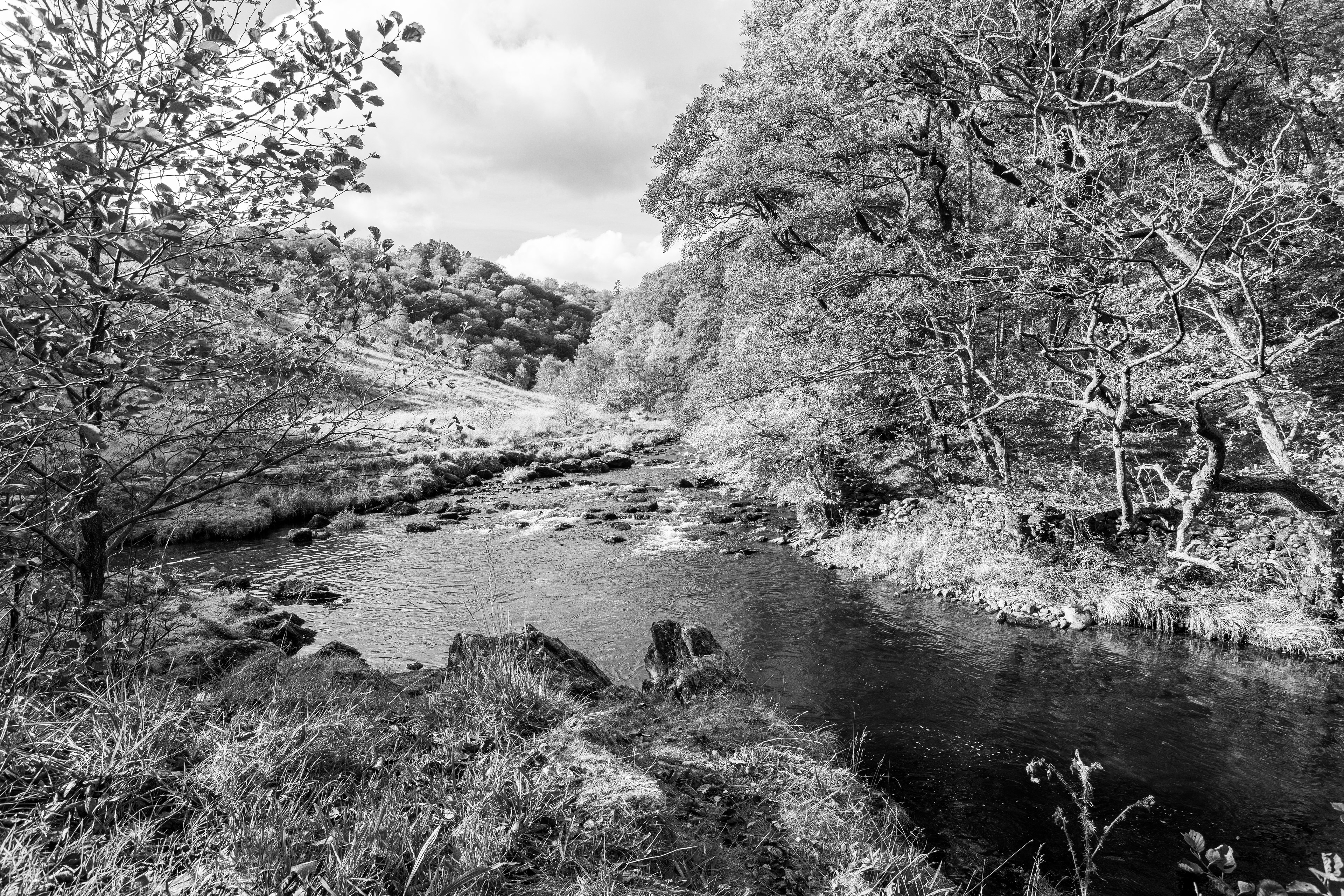 Black and white view along a river in the Lake District area of the UK