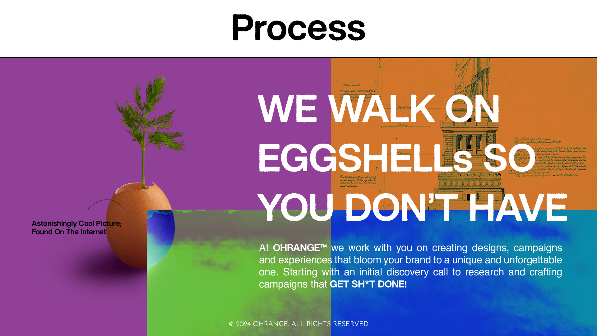 OHRANGE™ creative process overview featuring an eggshell sprouting a plant, symbolizing growth and innovation, and emphasizing their collaborative approach in crafting unique marketing strategies and design solutions that help brands stand out.