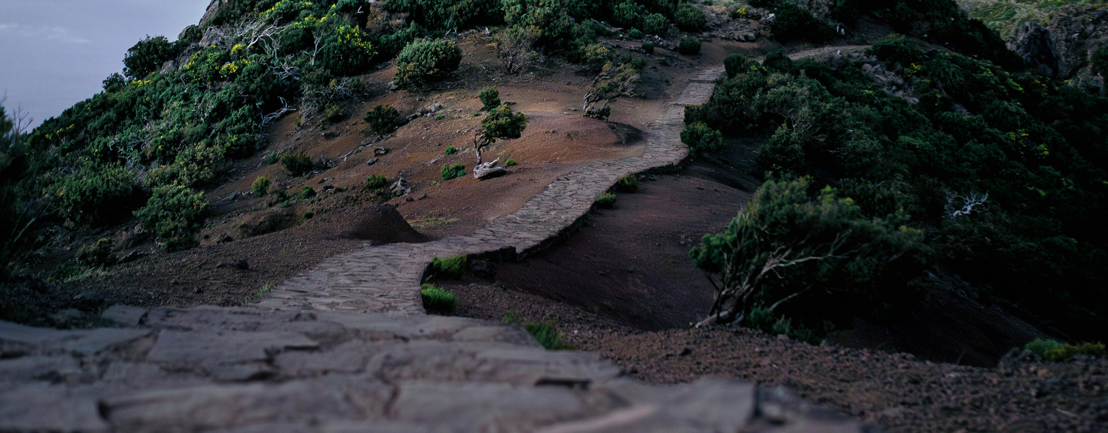 SIMMERFIX - Walking Dirges - album art 3