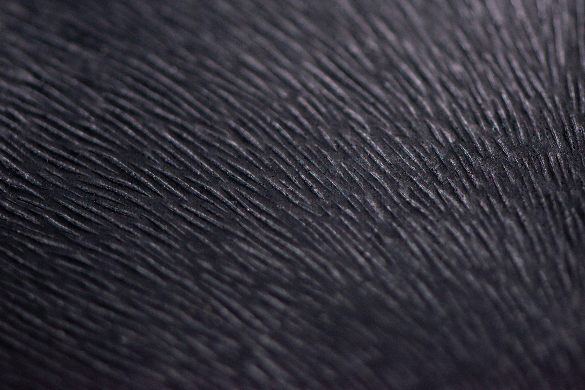 「エンボスシート加工」 FUR