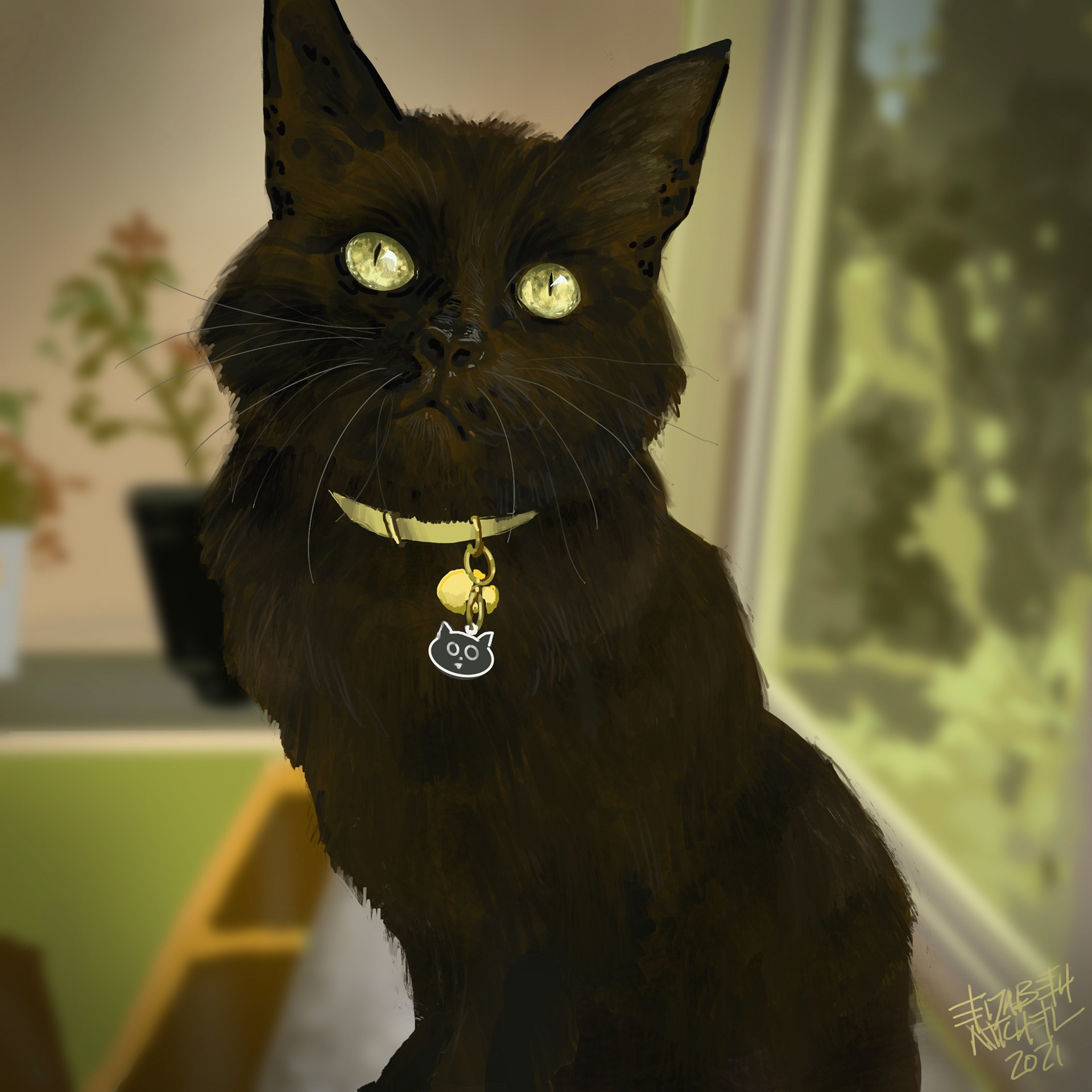 Sam, a black cat.