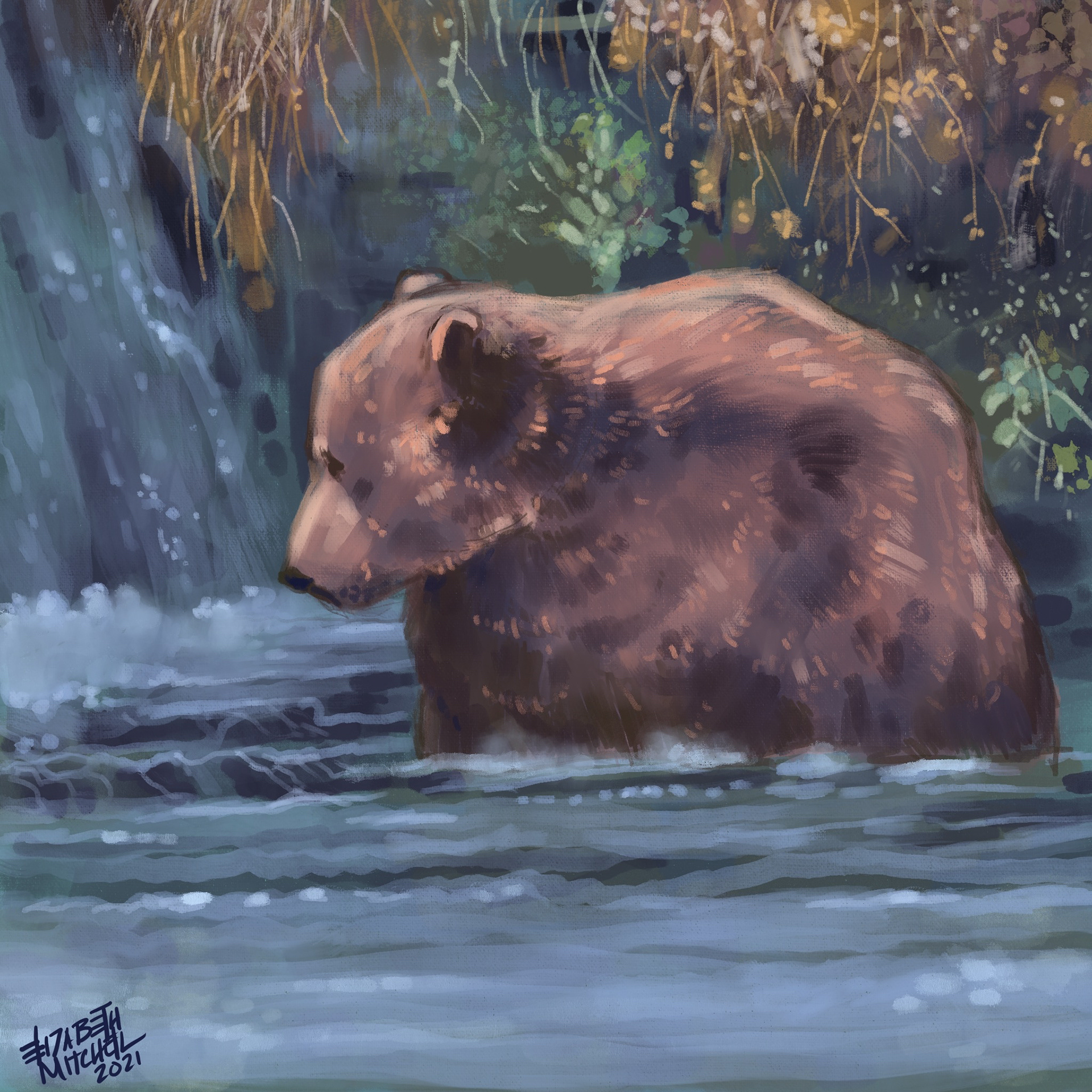 Otis the Bear at Katmai.