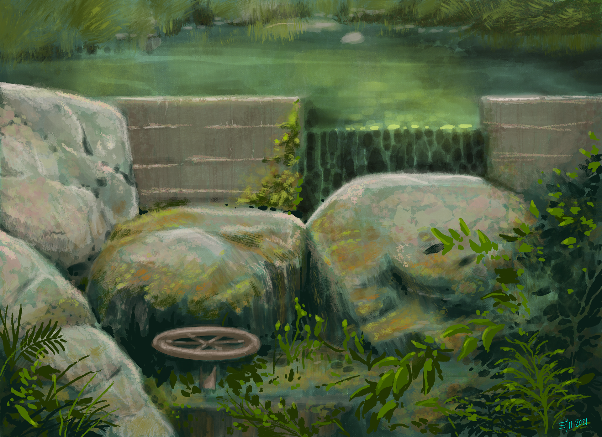 A small weir on a pond at Kubota Garden in Seattle.