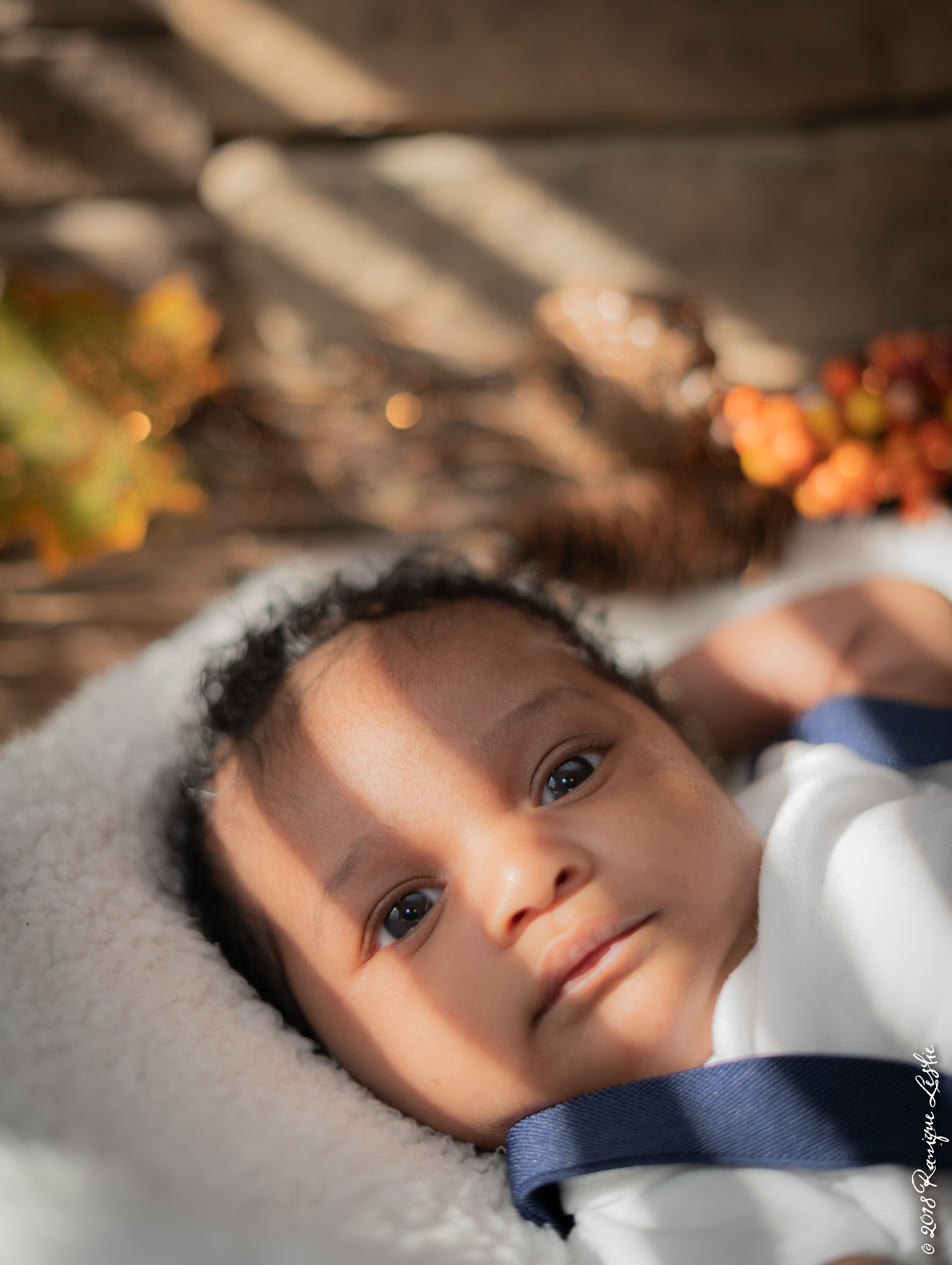 Baby staring at camera