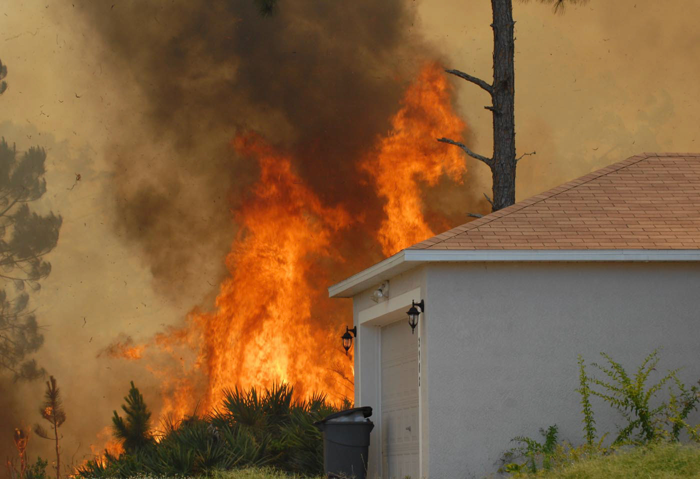 Palm Bay Fl - 5/12/2008 - Fuego forestal en Palm Bay - Foto Pedro R. Berrios/ ENDO.