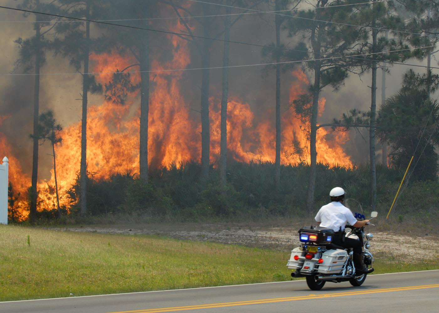 Palm Bay Fl - 5/12/2008 - Fuego forestal en Palm Bay - Foto Pedro R. Berrios/ ENDO.