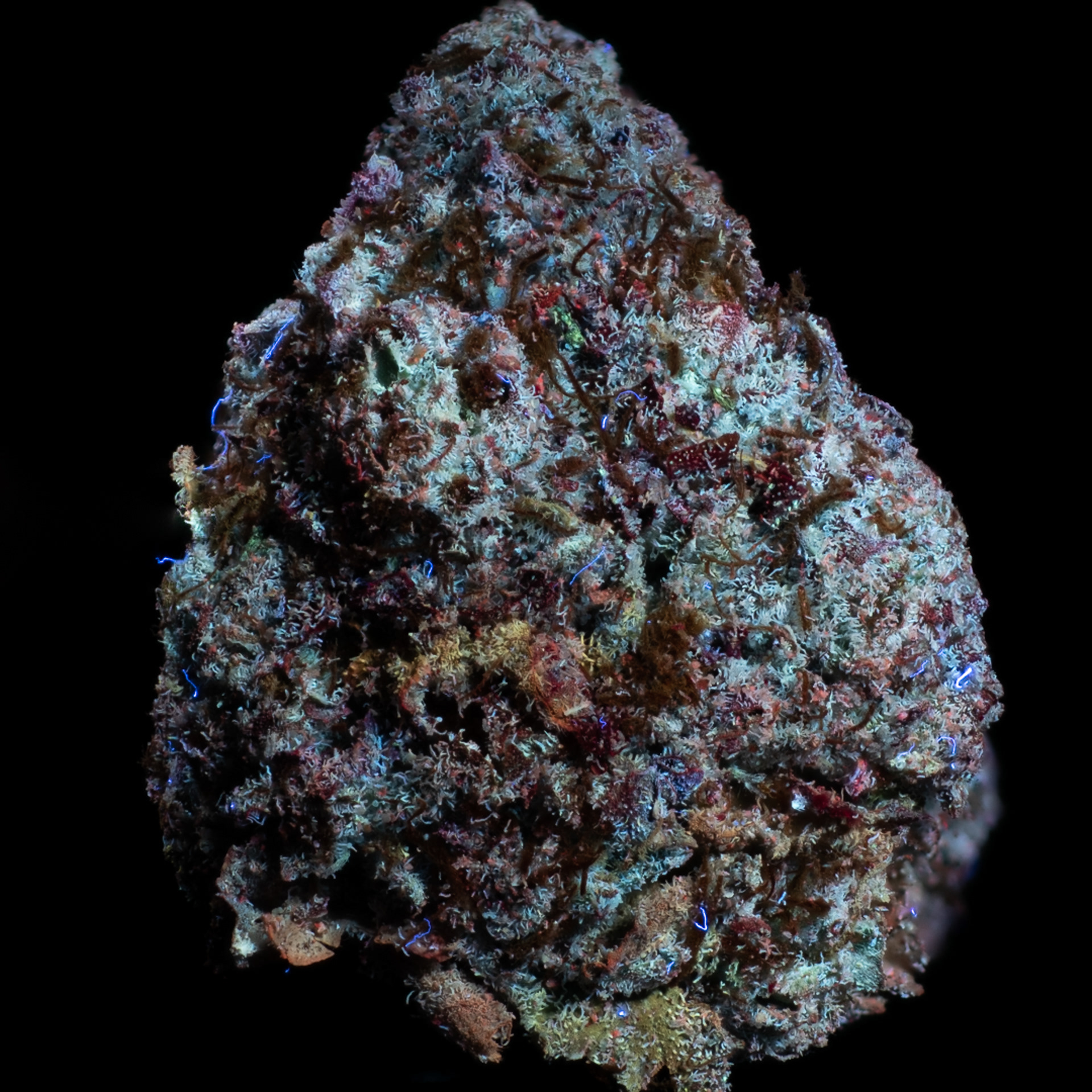 BLUE ETHER IN UV LIGHT