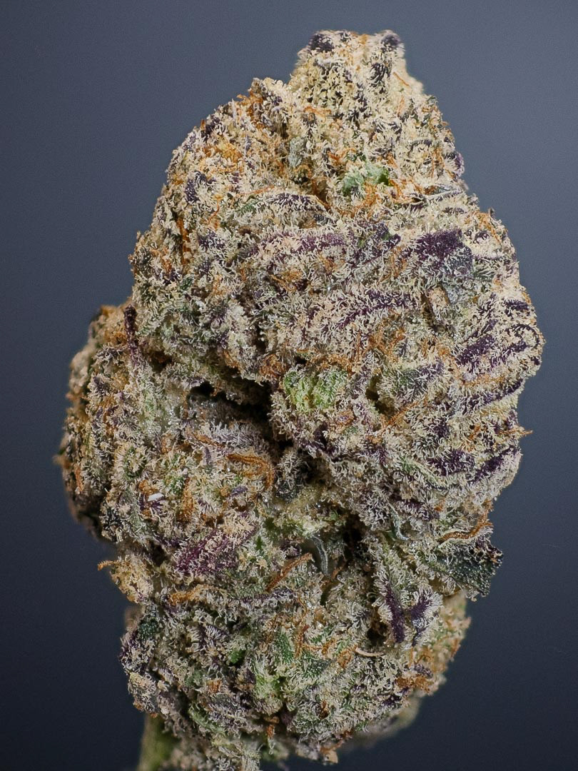 FROSTED COOKIES IN FULL VISIBLE LIGHT