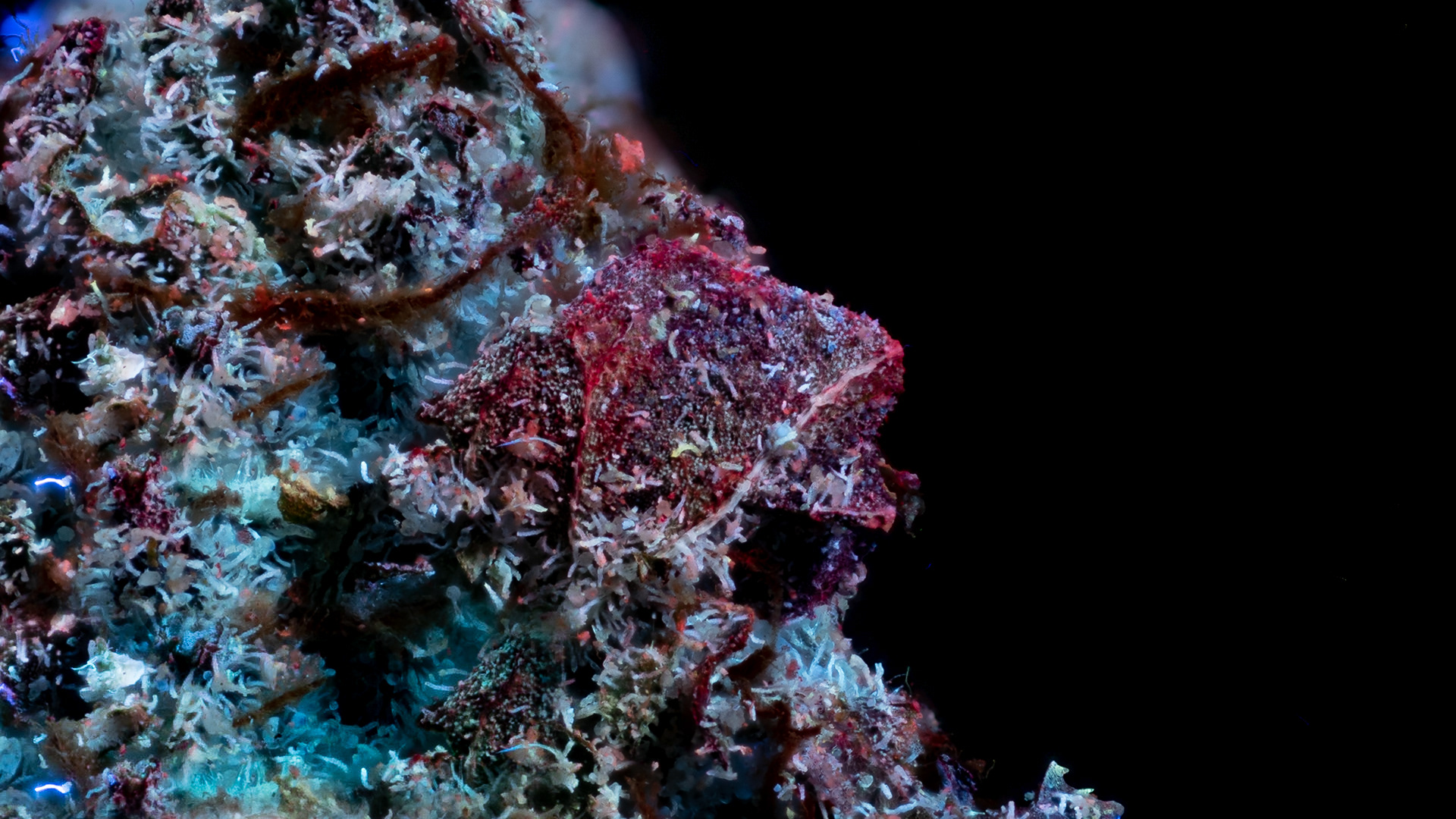 BLUE ETHER IN UV LIGHT