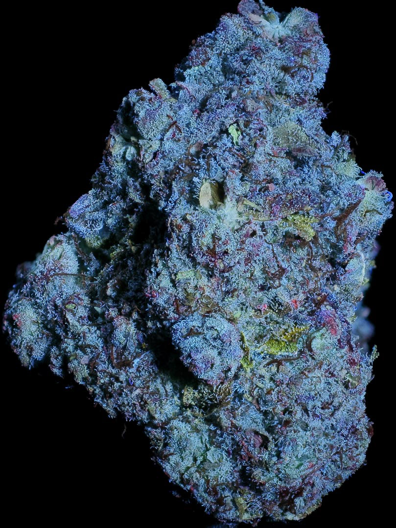 SIDESHOW IN PURE ULTRAVIOLET LIGHT