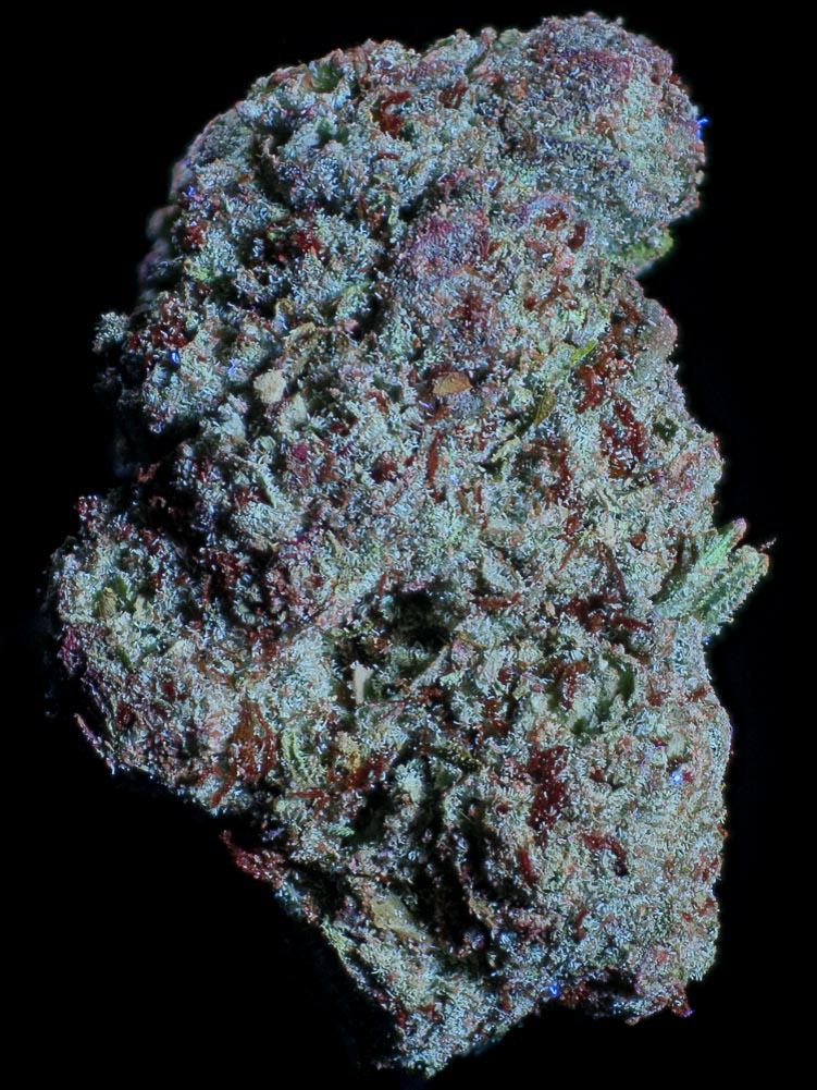 JET FEUL IN PURE ULTRAVIOLET LIGHT