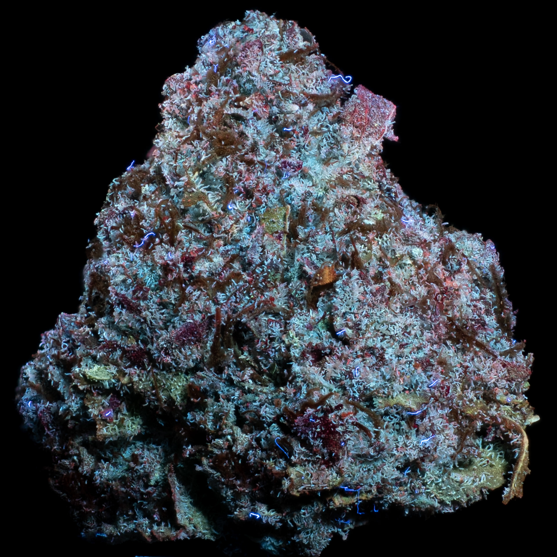 BLUE ETHER IN UV LIGHT