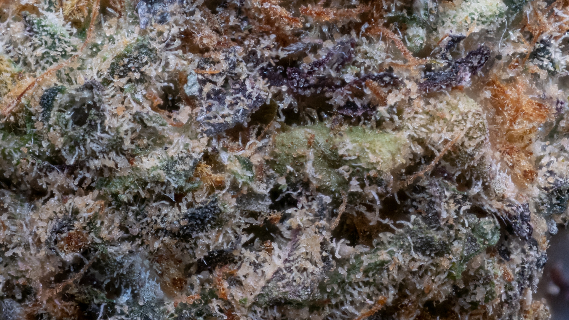 BLUE ETHER IN VISIBLE LIGHT