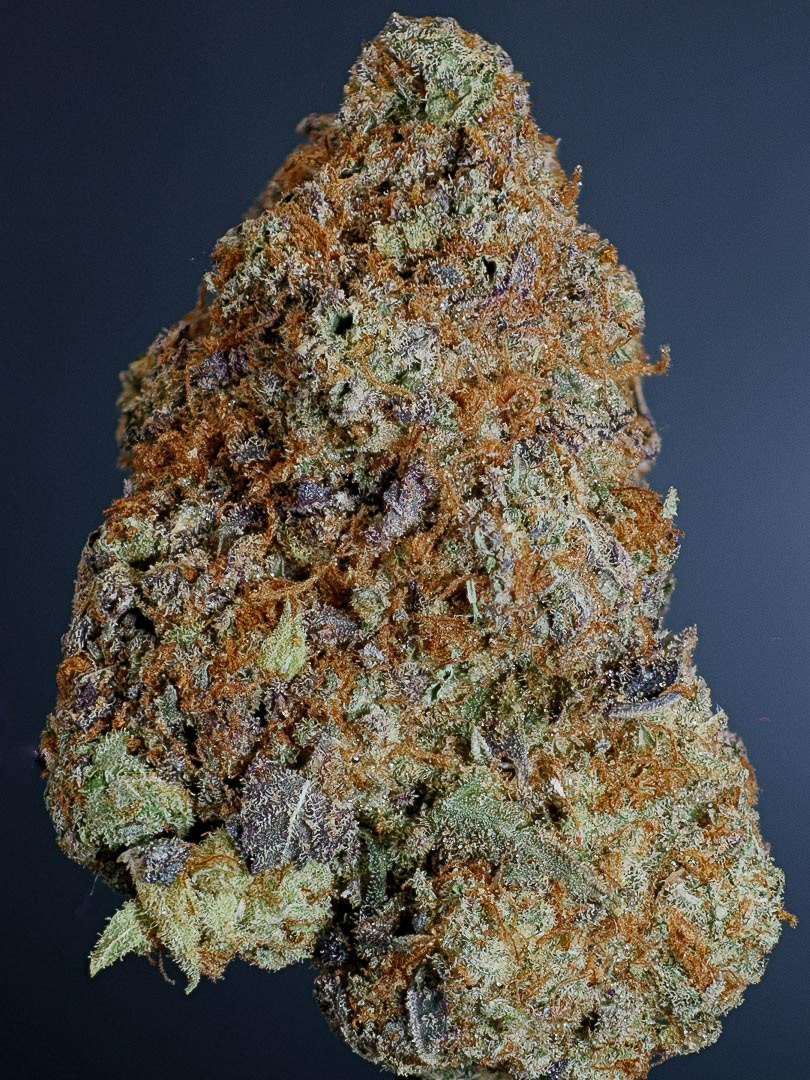 PINEAPPLE GELATO IN FULL VISIBLE LIGHT