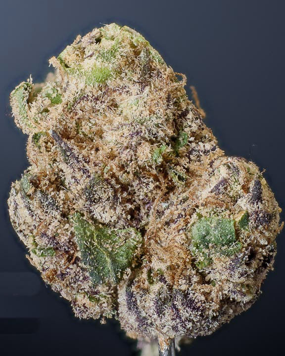 COUFF MEDICINE IN VISIBLE LIGHT