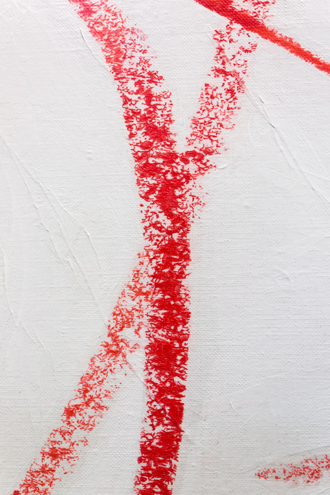 Pale Geranium Lake and Scarlet (Remastered), 2018. Detail. © Photo: Mustafa Aboobacker