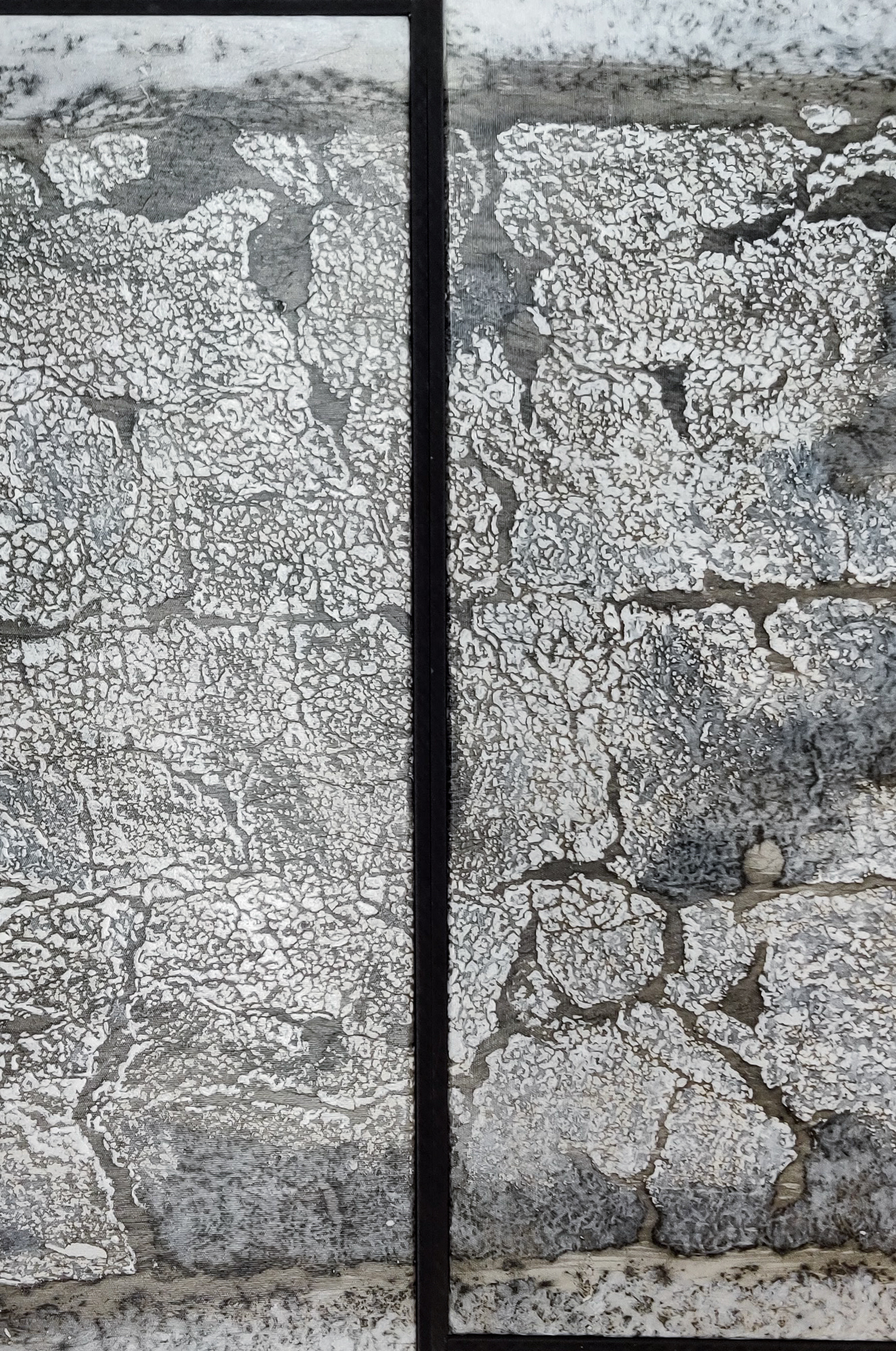 E Pluribus Unum (Detail)