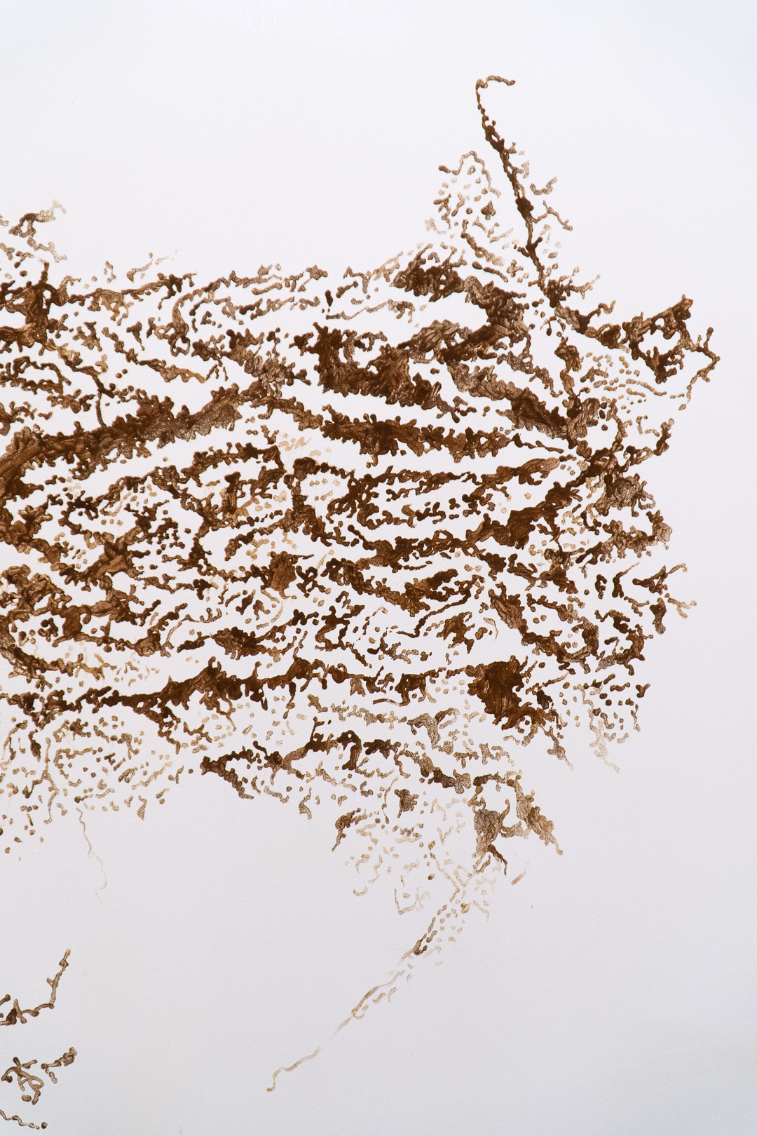 The Spores… Detail. © Photo: Daniel Keane 2019