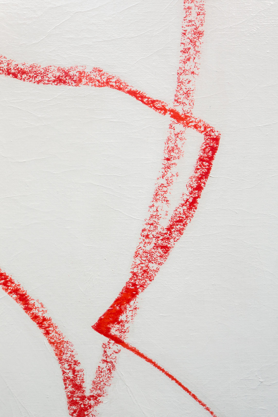 Pale Geranium Lake and Scarlet (Remastered), 2018. Detail. © Photo: Mustafa Aboobacker