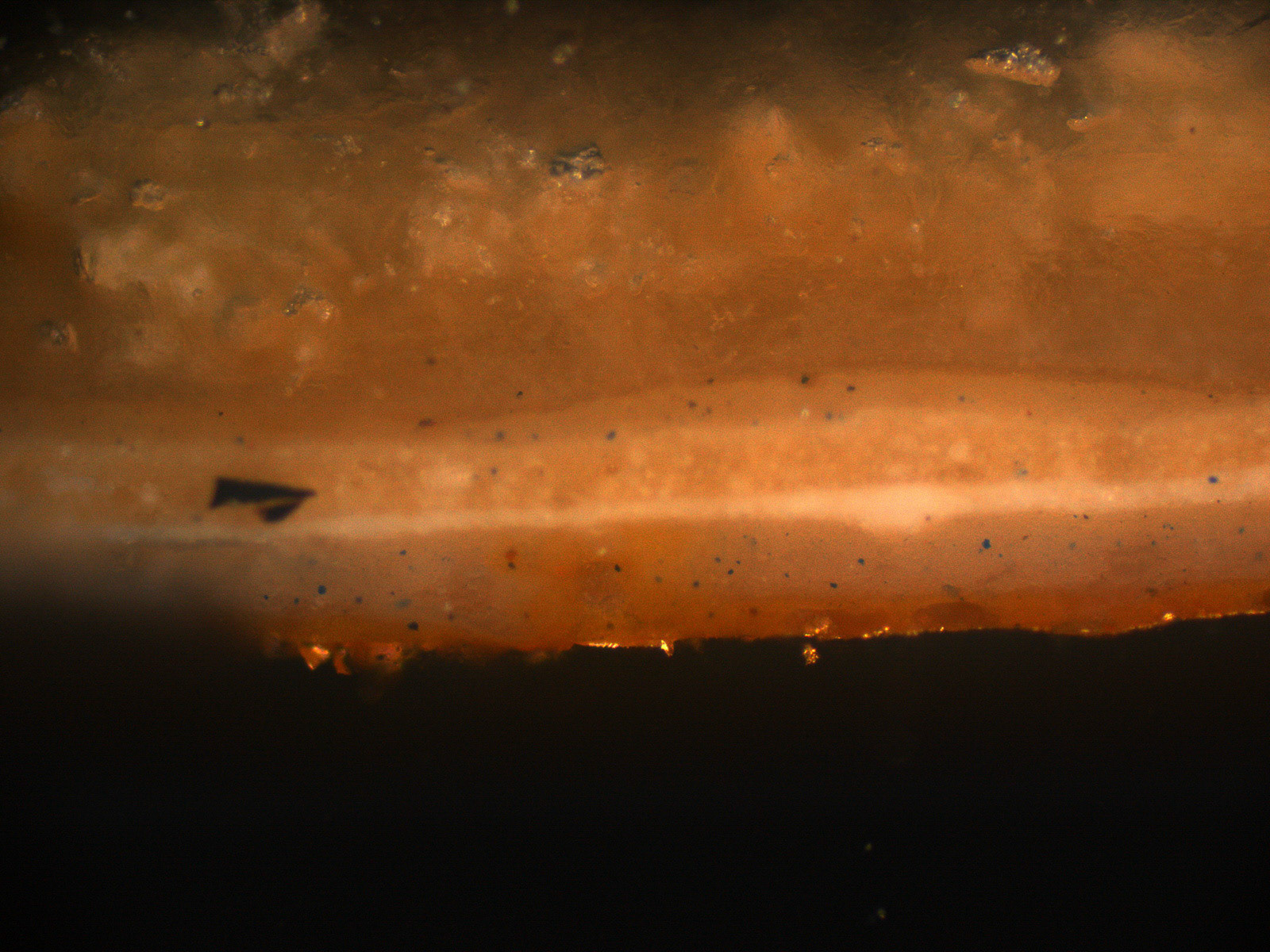 Spectral analysis of specimen