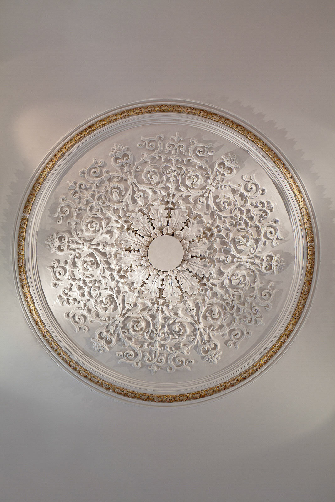 Ceiling rose with original gilded border