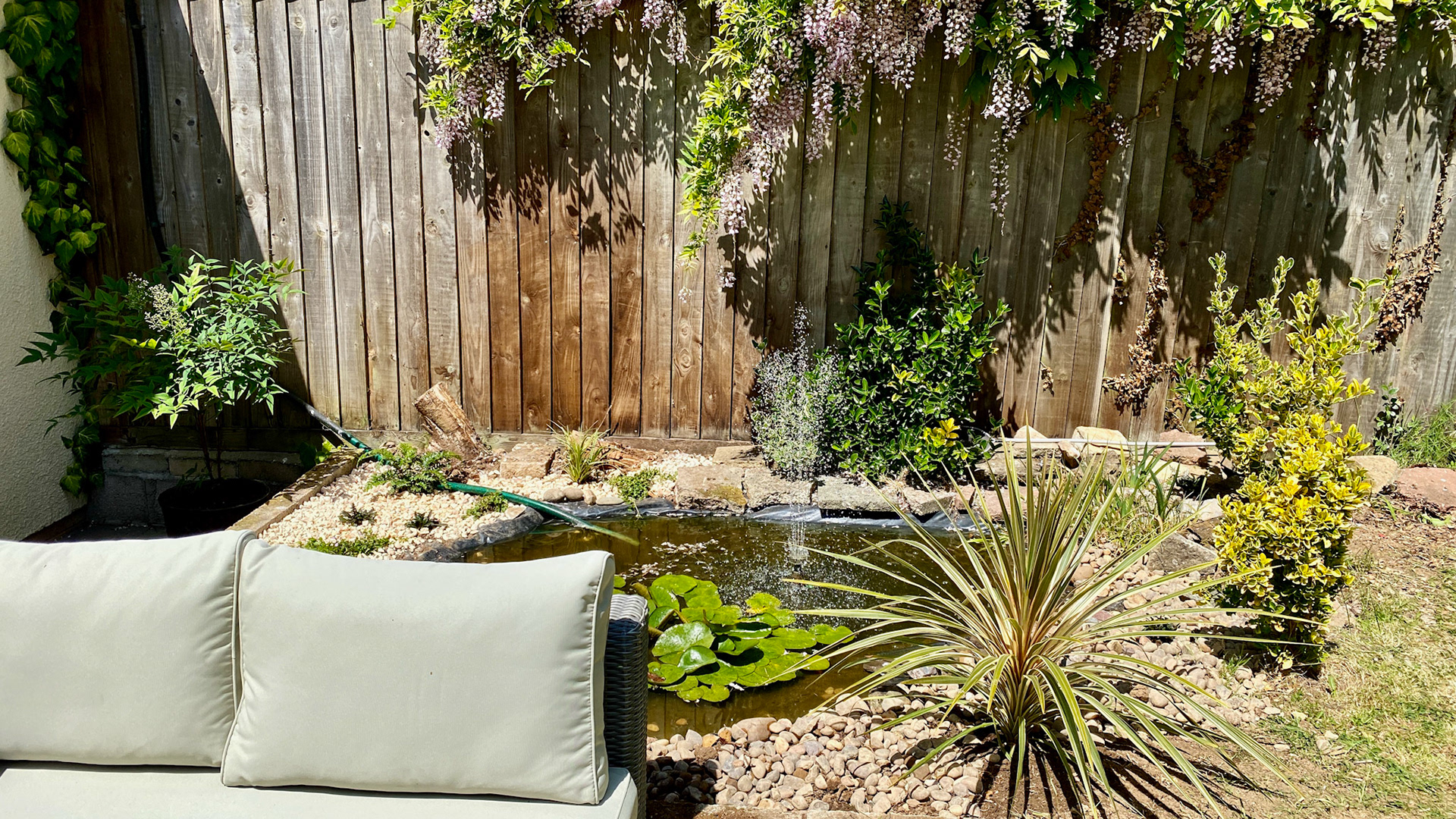 Day 54: birth of the new pond - bullrushes gone!