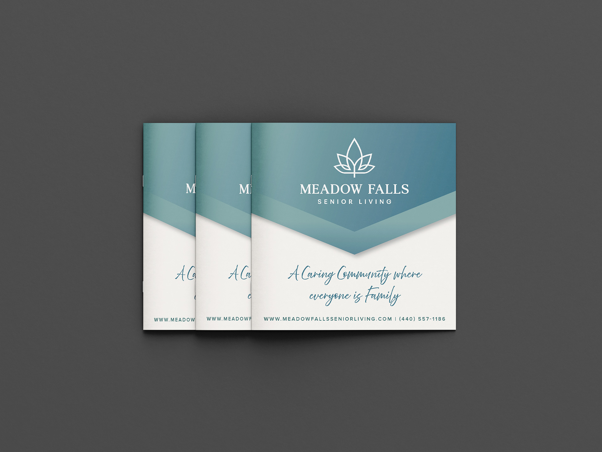 Meadow Falls Senior Living - General Booklet (2026)