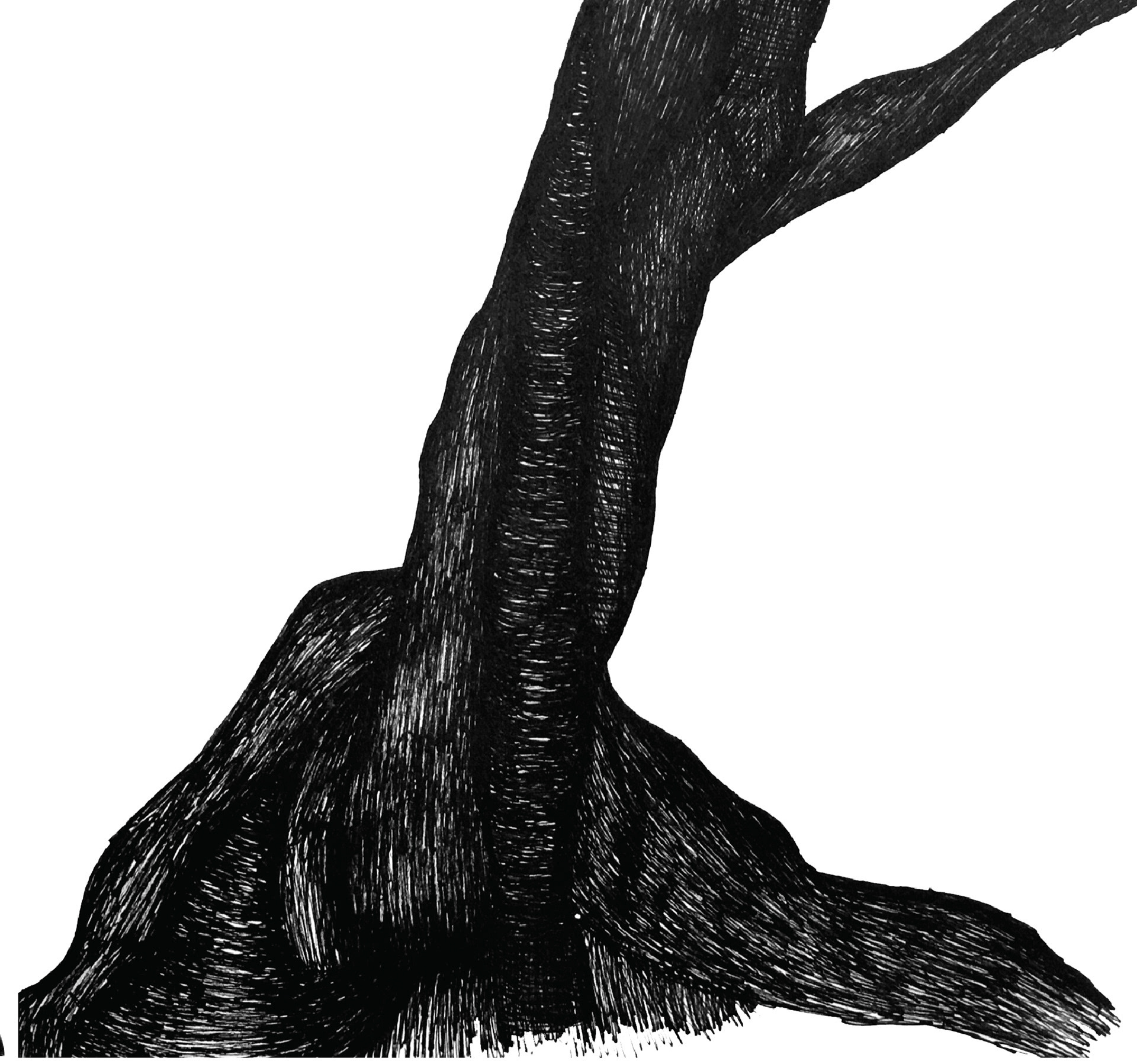 Pen on Paper -- Digitally Scanned