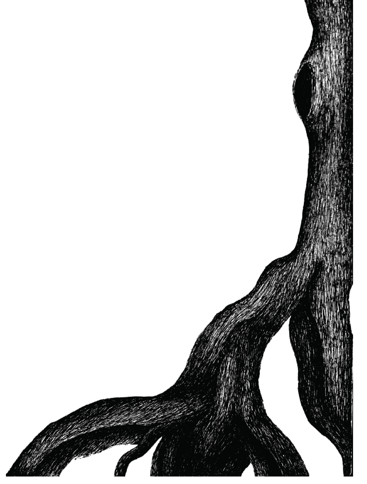 Pen on Paper -- Digitally Scanned