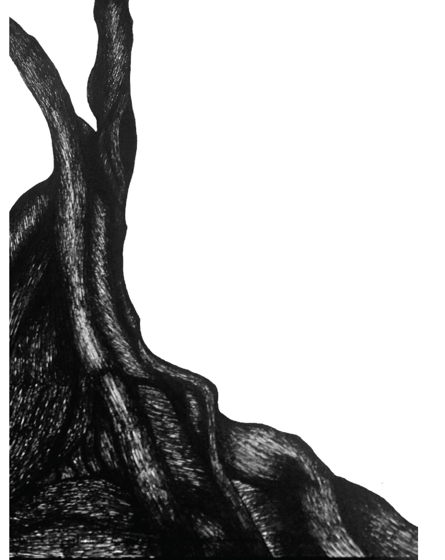 Pen on Paper -- Digitally Scanned