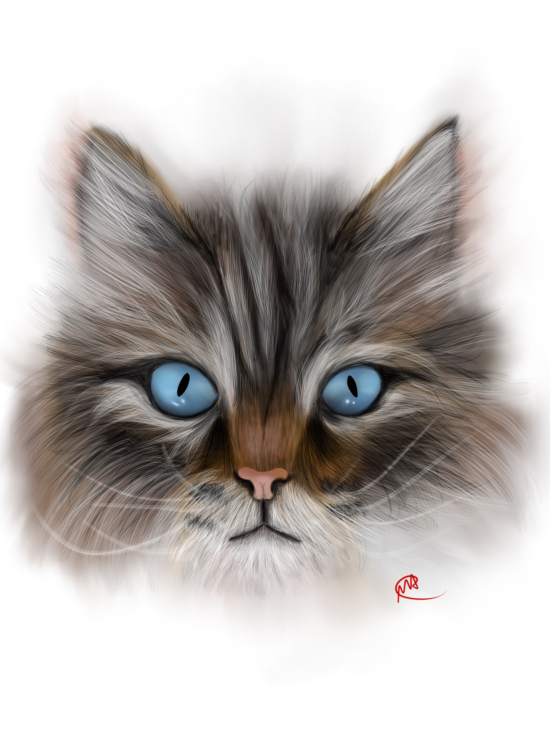 Portrait of Boris (The Cat) -- Done using Procreate