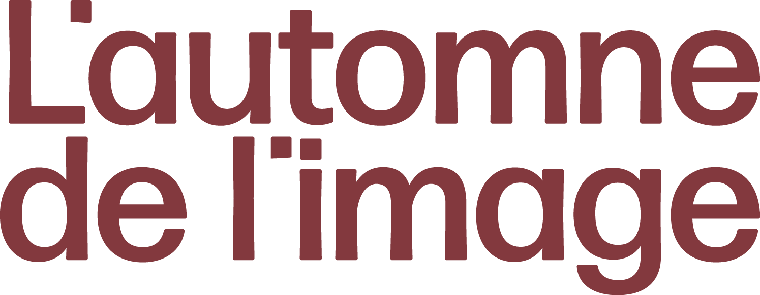 l'automne de l'image