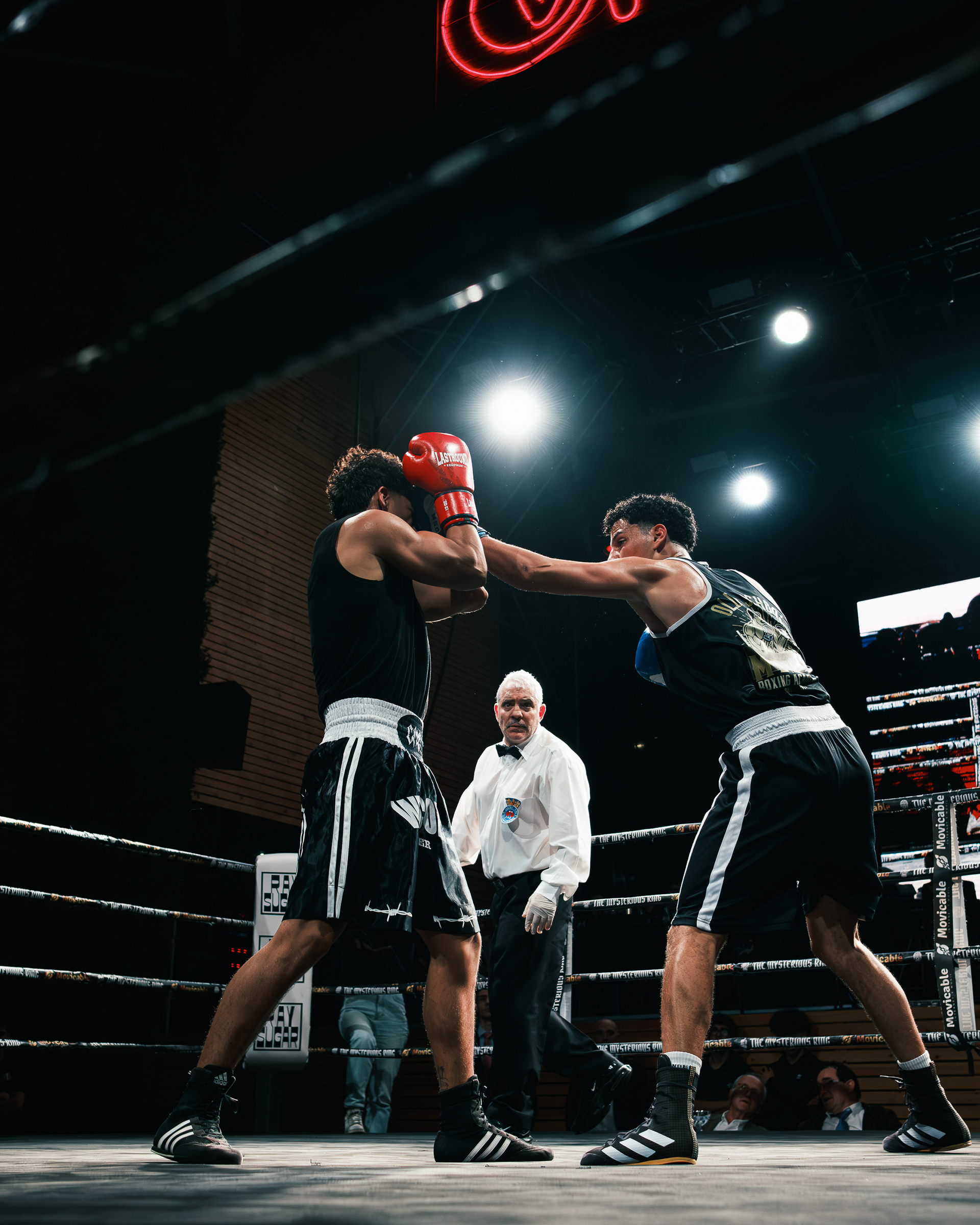 Boxeador con guantes azules extendiendo un golpe hacia un rival con guantes rojos.