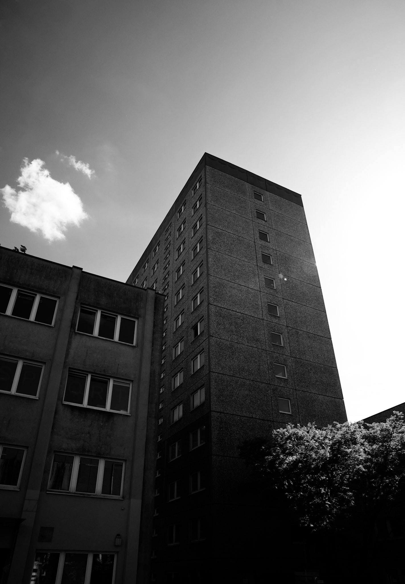 P64