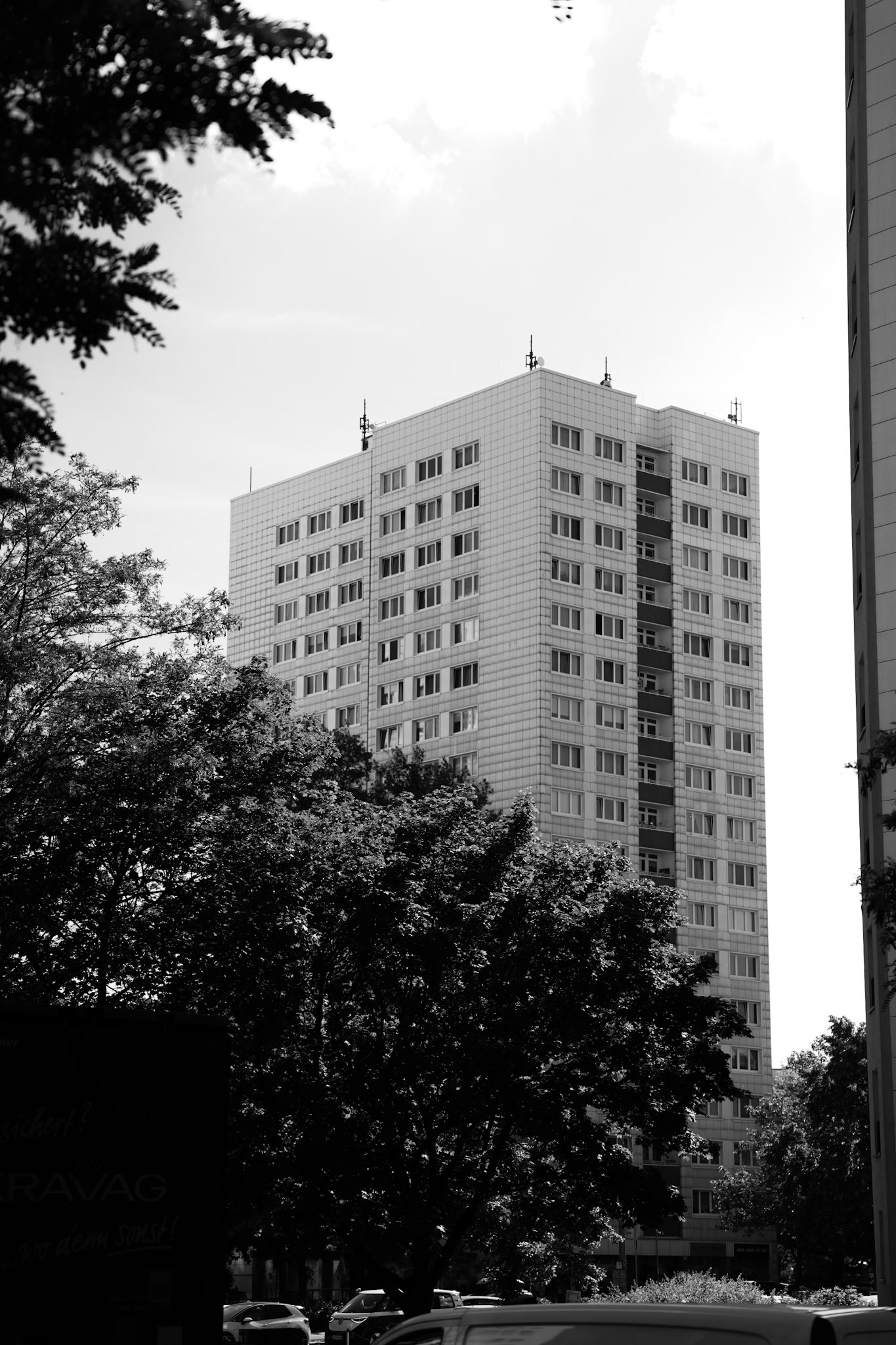 P73