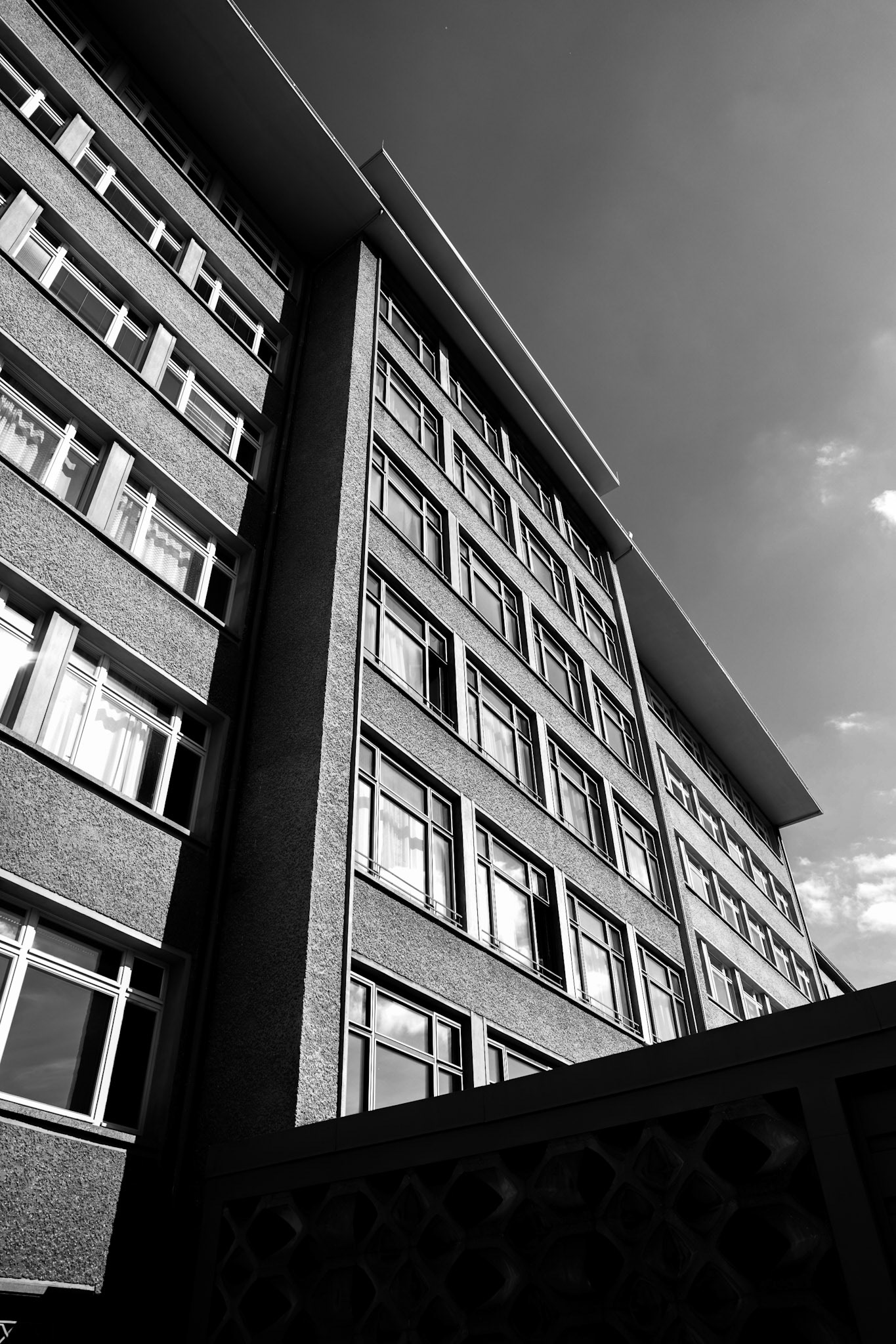 P61