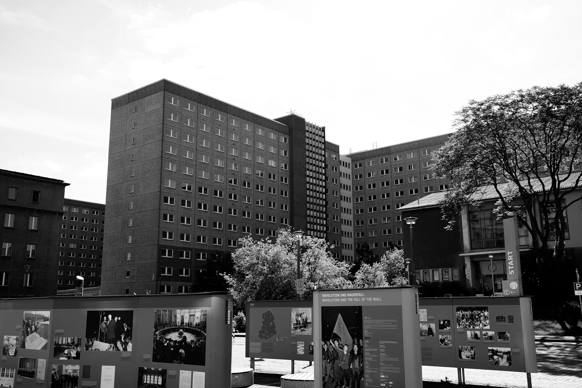 P54