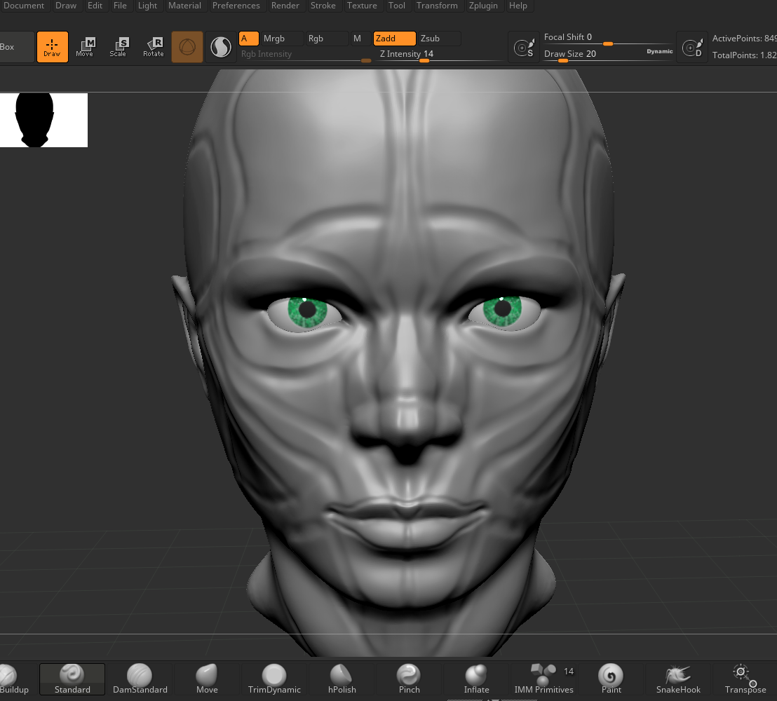 Sculpting the head in Z Brush Core.
