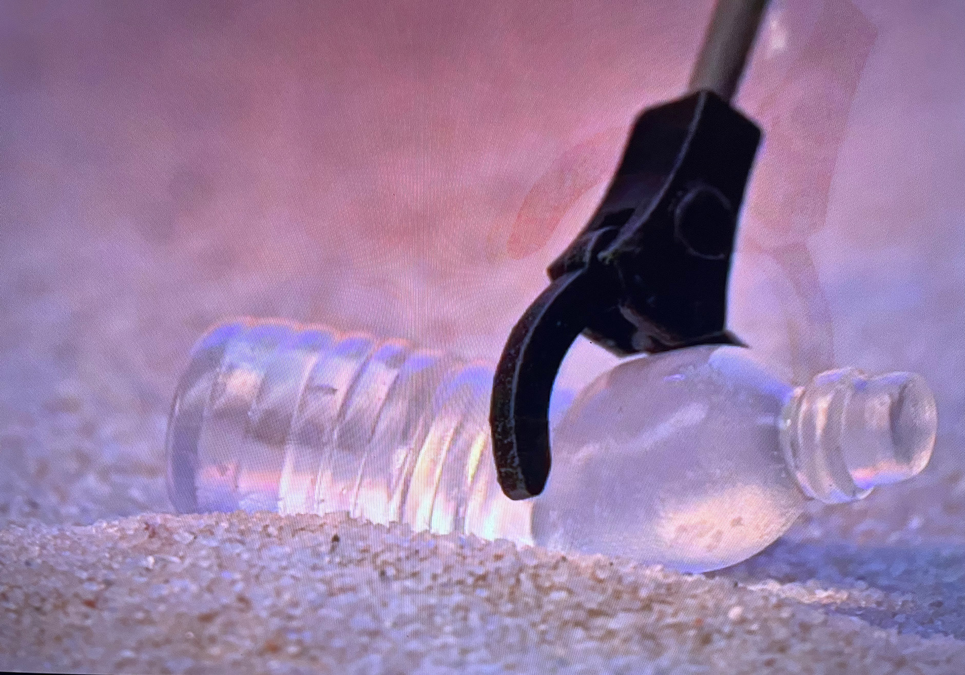 Designed, printed, and clear-treated multiple styles of bottles