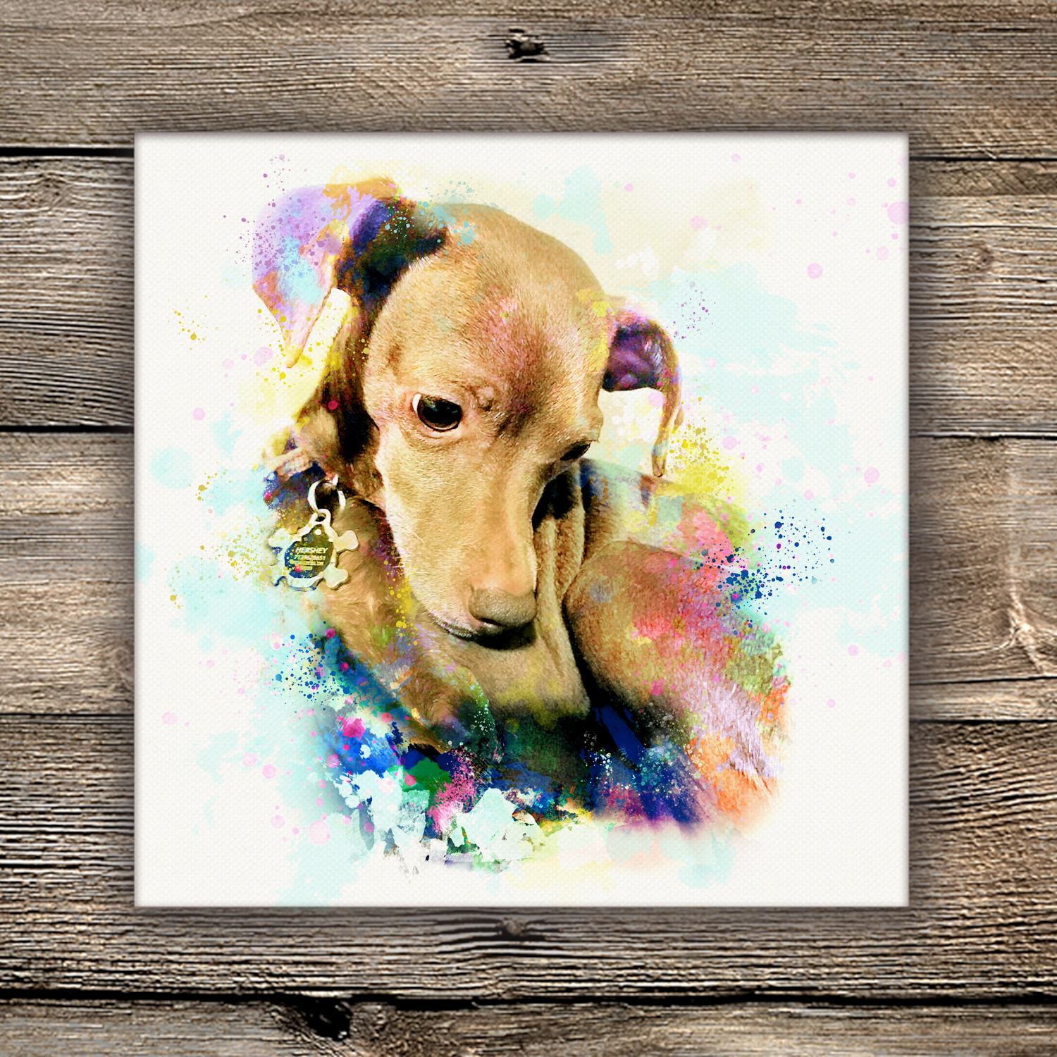 Digital Pet Portraits