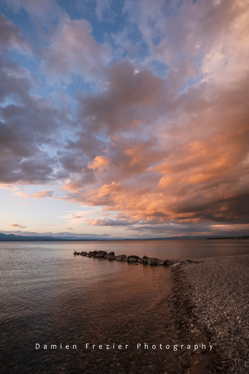 Léman's Vibes