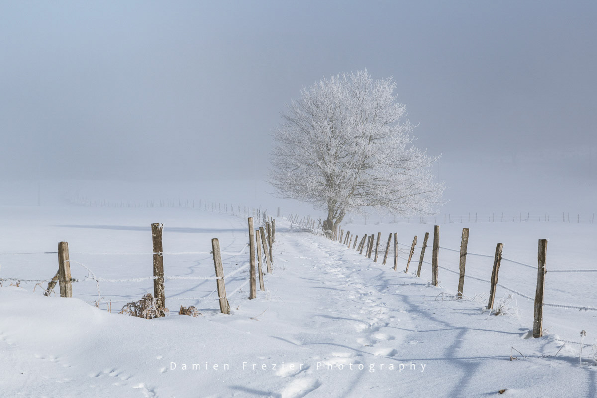 The Stillness Of Winter