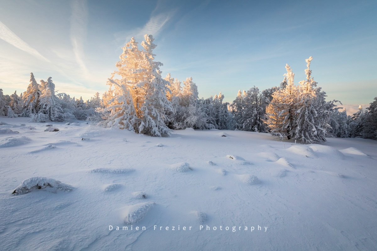 Winter Fairyland