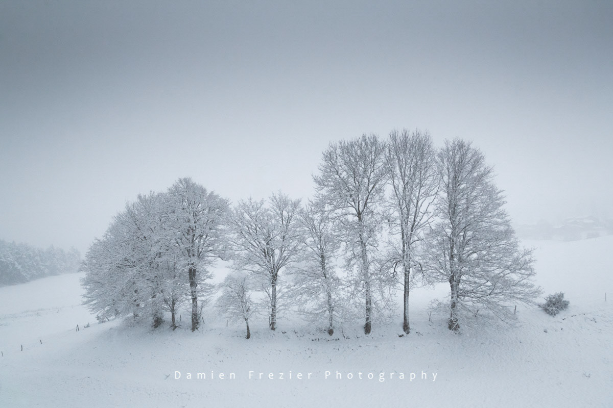 Sous La Neige