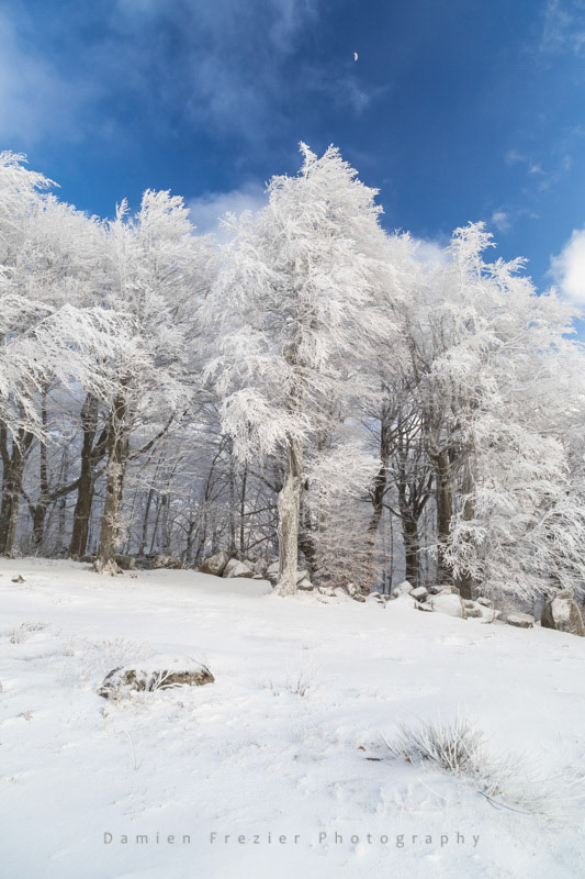 Rêves De Givre