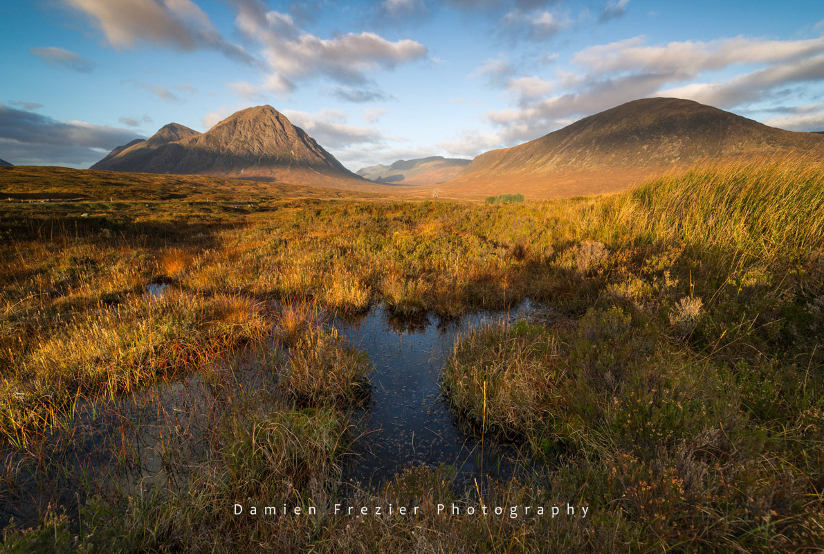 Highlands - Glencoe