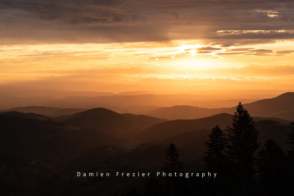 Golden Light