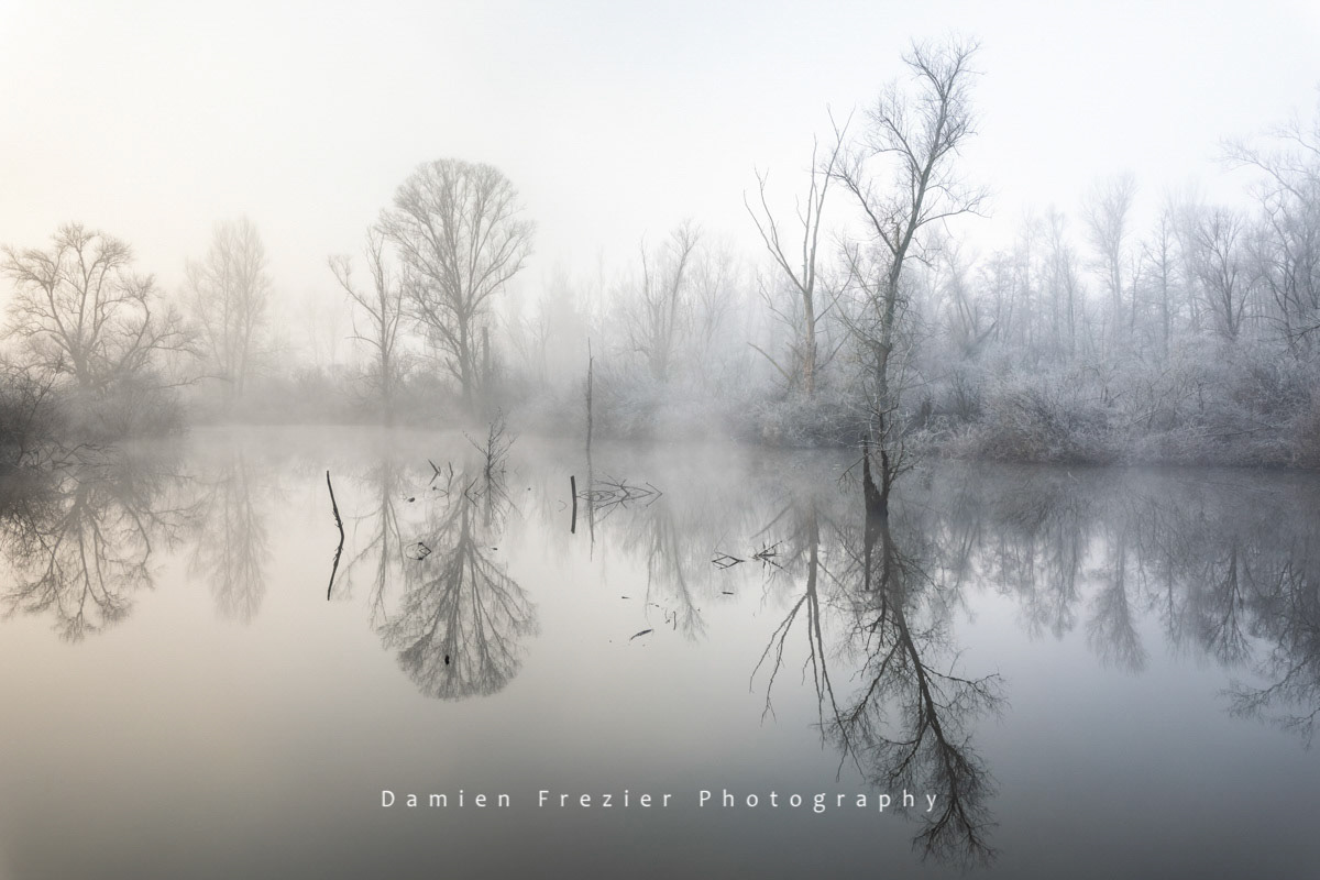 Along The Sleeping River