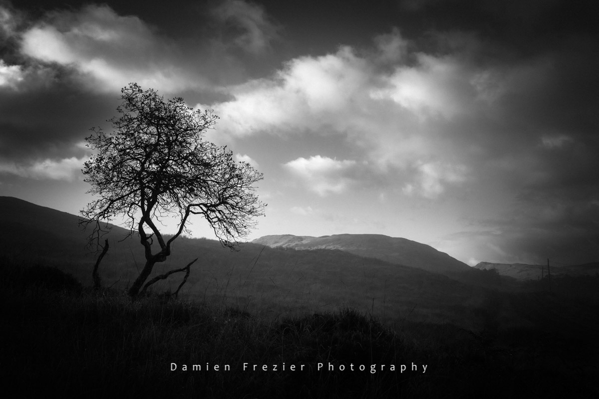 Alone - Loch Tulla